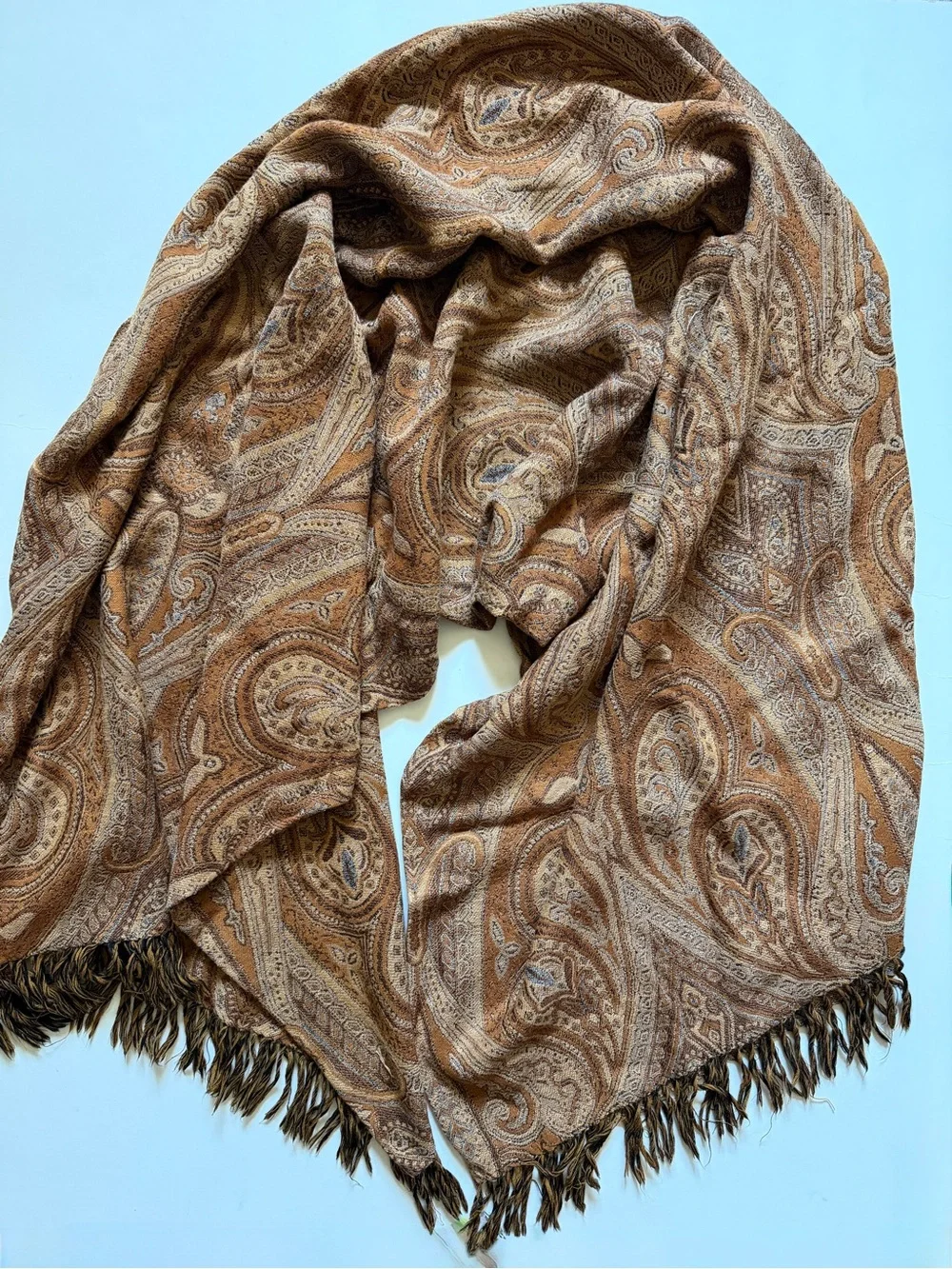Restoration Hardware Paisley Print Fringe Throw